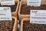 Giá cà phê hôm nay 18-3: Arabica – Robusta đồng loạt tăng, tín hiệu đảo chiều rõ nét