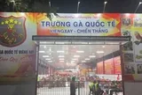 Trường gà 1.200 tỷ: Hé lộ đường dây vận hành tinh vi, kéo con bạc Việt sang Lào