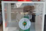 Sầm Sơn lắp cân đối chứng ở khu hải sản để chống "buôn gian bán lận"