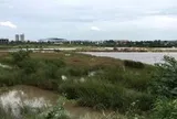 Hơn 2.000 ha đất bị loại khỏi danh sách thí điểm làm nhà ở thương mại