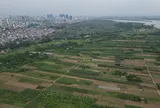 Bộ Nông nghiệp và Môi trường yêu cầu đăng tải công khai vi phạm đất đai