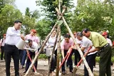 C.P. Việt Nam chung sức phát triển mảng xanh, nâng cao chất lượng sống cho cộng đồng