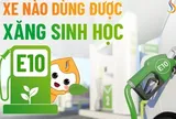 Xăng E10 bán đại trà, các hãng công bố mẫu xe tương thích và chế độ bảo hành