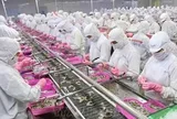 Xuất khẩu thủy sản có thể vượt 12 tỷ USD