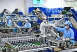Nhập siêu hơn 20 tỷ USD: Áp lực đến từ đâu?