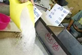 Không phải sầu riêng, một mặt hàng chủ lực của Việt Nam vừa bị Thái Lan vượt mặt tại thị trường quan trọng