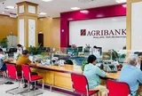 Lãi suất ngân hàng 29/8 tại Agribank, Vietcombank, BIDV, VietinBank, MB, Sacombank, HDBank,...