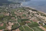 Quy định mới về thu hồi đất nông nghiệp có nguồn gốc lấn, chiếm tại khu vực triển khai dự án điện hạt nhân Ninh Thuận