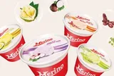 Kido giảm sở hữu tại công ty từng sở hữu thương hiệu kem Merino, Celano