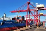 Pakistan săn chục nghìn tấn 'vàng xanh' của Việt Nam: thuế nhập khẩu 0%, Việt Nam là ông trùm đứng thứ 5 thế giới