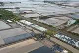 Kiến nghị chuyển hồ sơ sang công an vụ cho thuê đất công ở Cà Mau