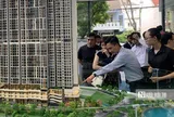 Tp.HCM: Nguồn cung căn hộ tăng, nhưng chưa giảm giá mạnh