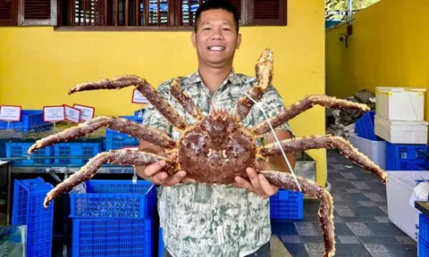 Từ chàng trai phụ hồ đến ông chủ chuỗi cửa hàng hải sản ở Hà Nội: Khởi nghiệp từ ước mơ chữa bệnh cho bố