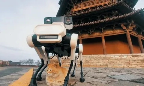 Robot chó 6 chân bảo tồn chùa gỗ cổ nhất, cao nhất thế giới