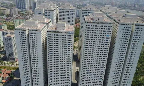 Trước thềm đại hội, con gái Chủ tịch Hoàng Quân đăng ký mua 25 triệu cổ phiếu