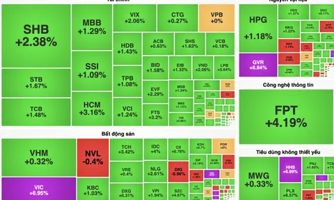 Đi tìm động lực giúp VN-Index bốc đầu tăng gần 20 điểm
