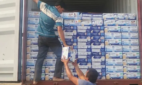 Khởi tố một cán bộ hải quan tiếp tay buôn lậu hơn 4.000 thùng sữa từ Mỹ về Việt Nam
