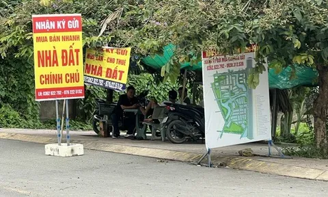 Giữ lô đất 10 năm không bán, giá tăng gấp 7 lần, nhà đầu tư này vẫn tự tin: “Tôi chờ thêm 10 năm nữa”