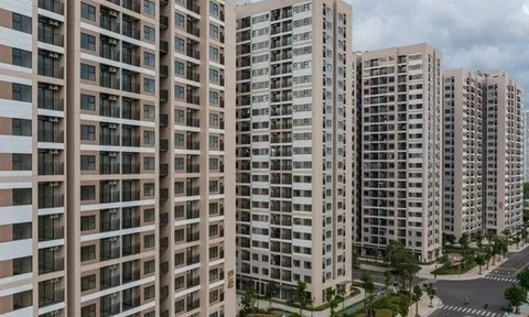 Giá chung cư tại Hà Nội, TP.HCM đã chững lại, không còn tăng mạnh như năm 2024