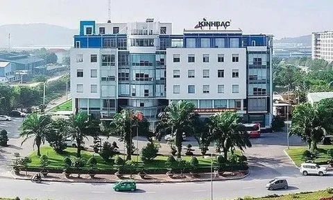 Lý do doanh nghiệp chi tiền 'khủng' sở hữu trường học