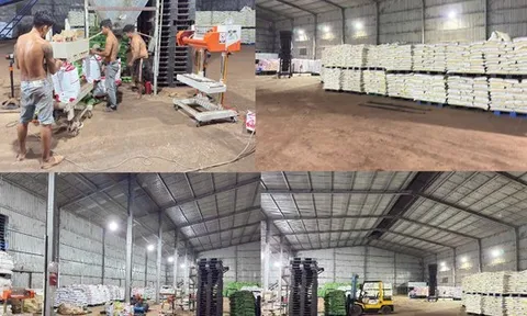 Hình ảnh Công an Đồng Nai “đột kích”, thu giữ gần 300 tấn phân bón giả
