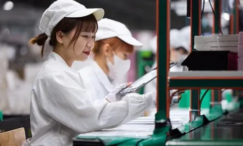 Phó chủ tịch Apple: “Việt Nam là nơi có nguồn nhân lực rất đam mê, sáng tạo và khao khát học hỏi”