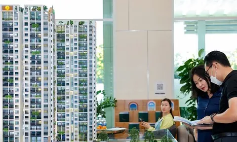 Bất động sản 'lao dốc' theo đà hạ nhiệt sáp nhập tỉnh thành