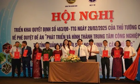 THACO nhận thêm nhiệm vụ mới: Khảo sát vùng trồng và lập dự án sản xuất, chế biến Sâm Ngọc Linh tại Quảng Nam