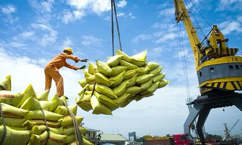 Xuất khẩu gạo đối diện với rủi ro kép