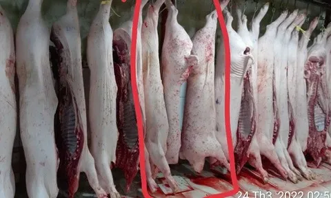 Vụ tố cửa hàng C.P. Việt Nam: Ông L.Q.N lại tung thêm bằng chứng?