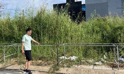 Thay đổi mới nhất về tách thửa, hợp thửa đất tại Đồng Nai từ 1/7, người dân cần biết