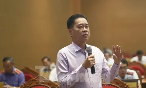 Thông tin việc nhiều doanh nghiệp ở Bình Định dừng hoạt động, giải thể