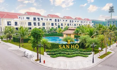 Bộ ba lợi nhuận tại San Hô: Ưu đãi lớn, dòng tiền nhanh, tăng giá mạnh