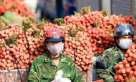 Nông sản Việt đang ở đâu?