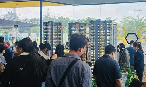 Doanh nghiệp bất động sản tại Bình Dương, Bà Rịa – Vũng Tàu có động thái mới khi sáp nhập vào TPHCM