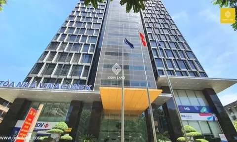 Cổ phiếu Vinaconex "có biến" sau thông tin về thương vụ 5.100 tỷ đồng tại dự án Cát Bà Amatina