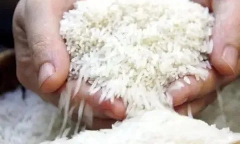 Mỹ cảnh báo áp thuế cao hơn nếu Nhật Bản không nhập khẩu gạo