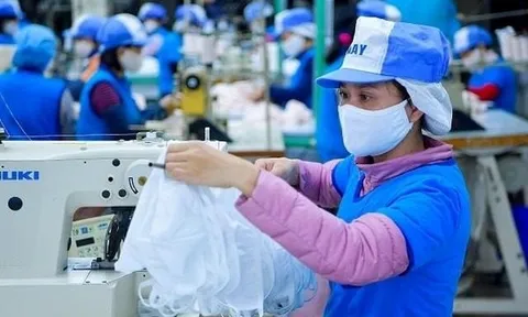 Tập đoàn dệt may Vinatex báo lãi bán niên cao nhất 3 năm, tăng 112% so với cùng kỳ