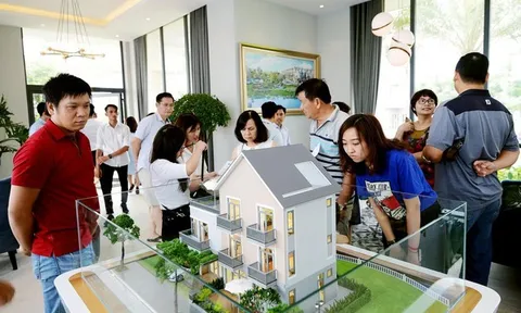 20 năm tiết kiệm mới đủ tiền mua nhà: Người trẻ Việt chịu lỡ dở giấc mộng an cư?