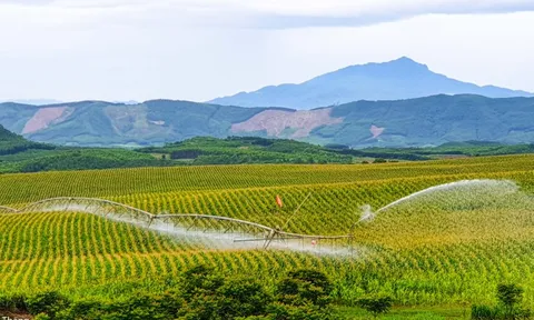 Bức tranh thiên nhiên ngút tầm mắt chỉ có ở nơi sản xuất sữa tươi sạch TH true MILK