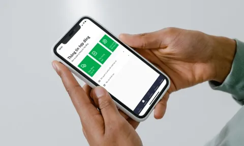 Manulife hỗ trợ chi trả nhanh cho khách hàng trong vụ lật tàu tại Hạ Long