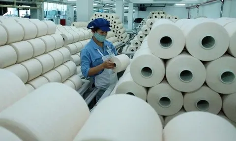 Sợi Thế Kỷ ‘ế’ 13,5 triệu cổ phiếu trong đợt chào bán riêng lẻ