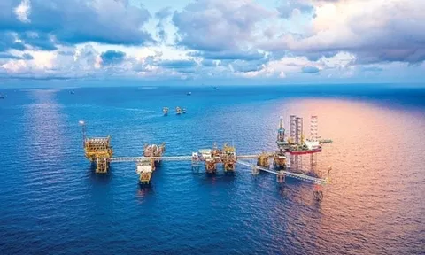 Petrovietnam chiếm 48% tổng doanh thu và 64,8% nộp ngân sách Nhà nước toàn khối doanh nghiệp thuộc Bộ Tài chính trong 6T2025
