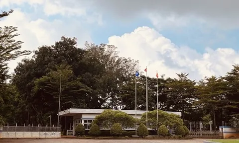 Công ty TNHH Pou Sung Việt Nam bị phạt 705 triệu đồng