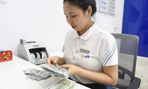 Giá USD tại Việt Nam liên tục tăng, Ngân hàng Nhà nước nói gì?