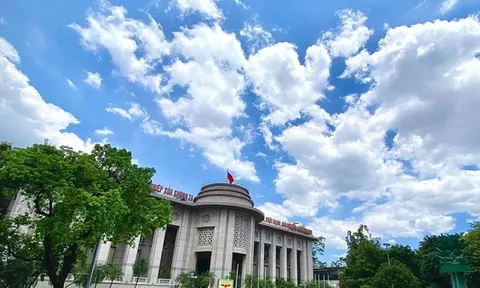 Ngân hàng Nhà nước triển khai biện pháp can thiệp, tỷ giá USD lập tức hạ nhiệt