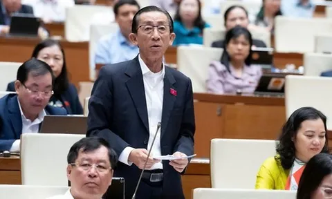 Đại biểu Trần Hoàng Ngân: Sớm trình gói tài chính khẩn cấp khắc phục hậu quả bão lũ