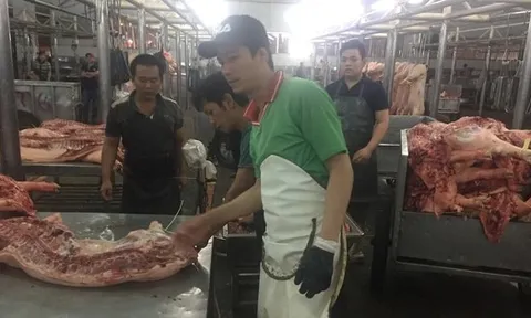 Giá heo hơi hôm nay, 29-10: Bất ngờ với giá thịt heo ở chợ đầu mối