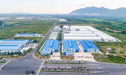 Vì sao doanh thu của Sonadezi Châu Đức sụt giảm 47% trong quý III/2025?