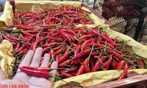 Khó tin: Việt Nam chi hơn 23 triệu USD để nhập khẩu ớt